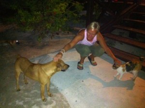 kotikissat ja koirat