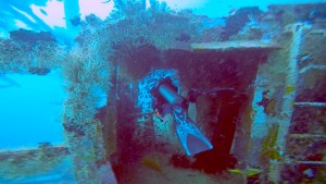 Screen Shot 2016-02-22 at 16.37.04